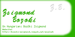 zsigmond bozoki business card